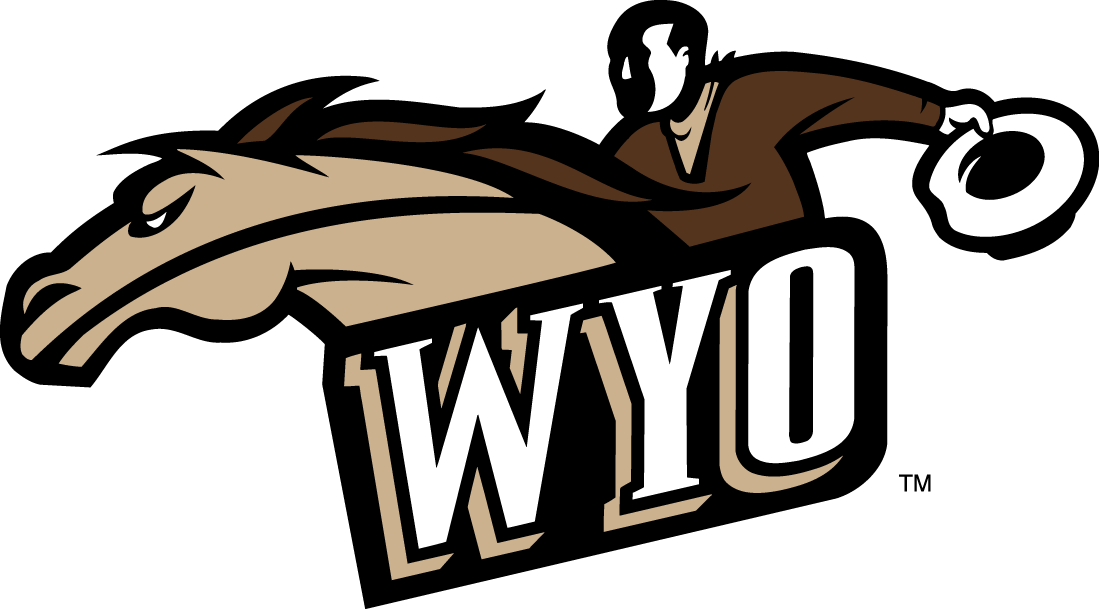 Wyoming Cowboys 1997-2006 Alternate Logo iron on transfers for clothing